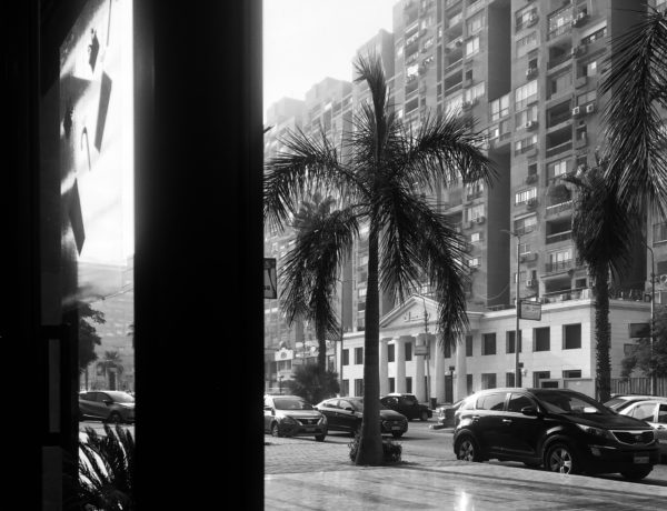 The All Black & White Story