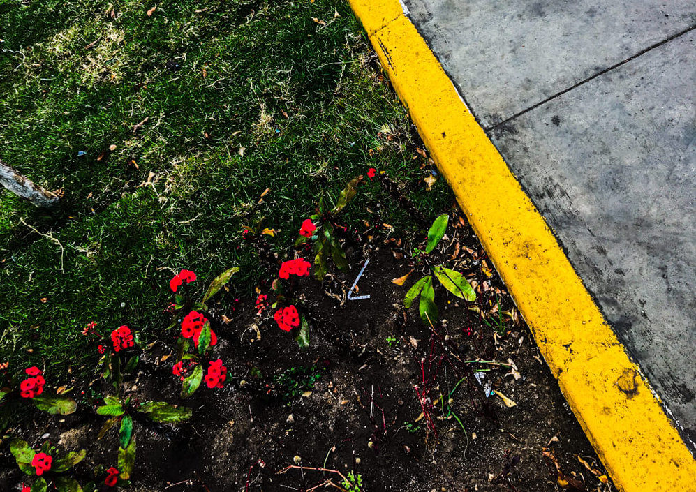 10 Things I Wish I Knew About Life