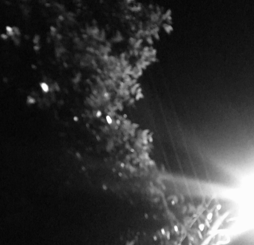 The black and White Story: You One More Time.