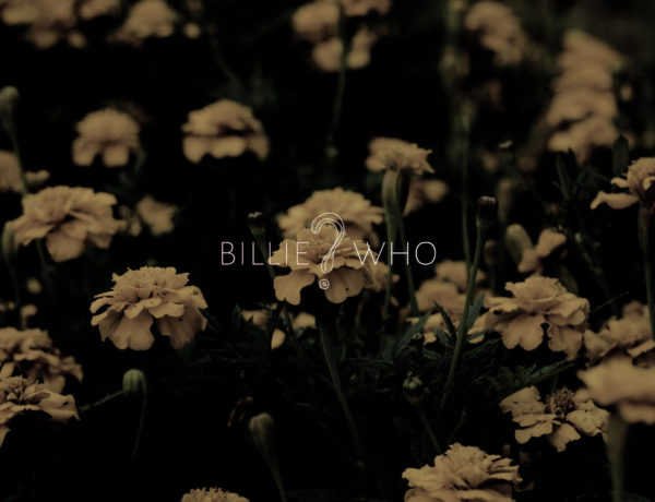 Billie Who?
