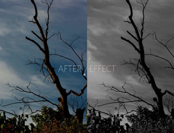 After Effect